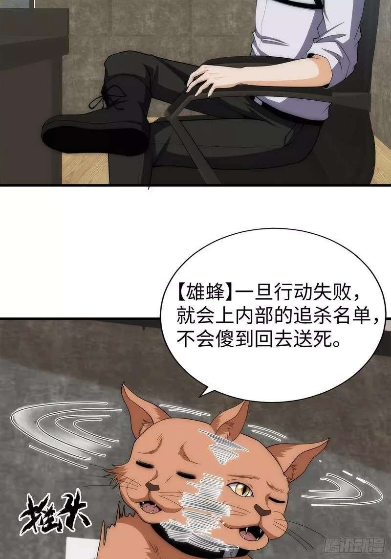 我真的好怕啊！,042 审判猫咪,第39张